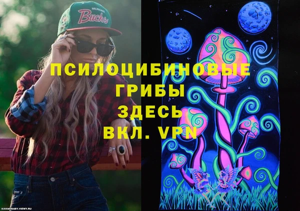 jwh Ельня