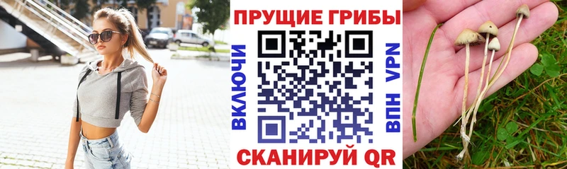 Галлюциногенные грибы Cubensis  Долинск 